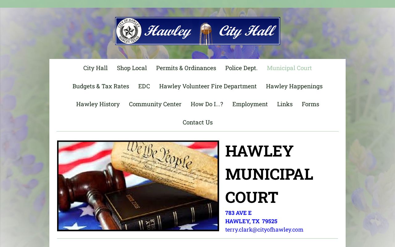 Hawley court records appointment and payment instructions